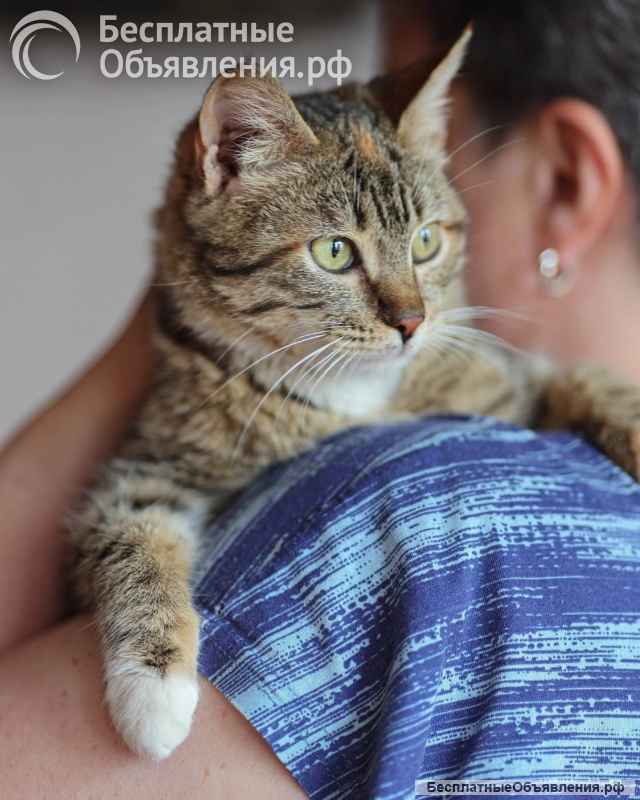 Луша и Гоша ищет дом