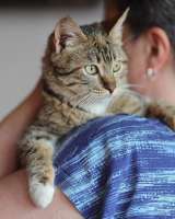 Луша и Гоша ищет дом