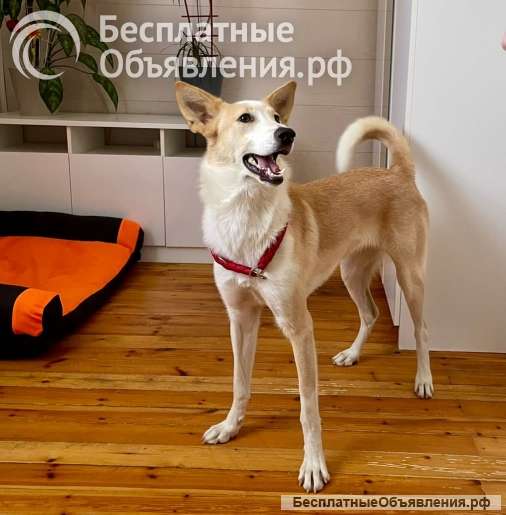 Беллу бросили на парковке