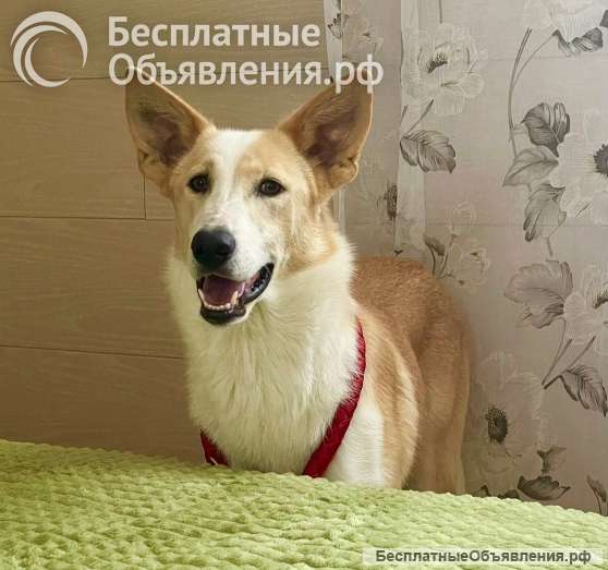 Беллу бросили на парковке