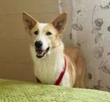 Беллу бросили на парковке