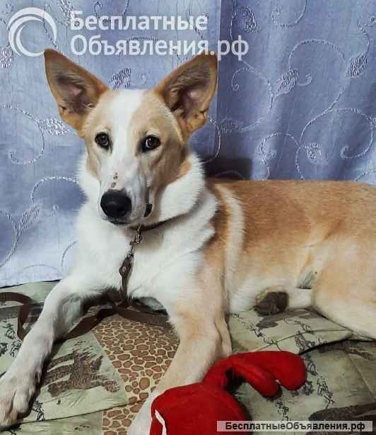 Беллу бросили на парковке