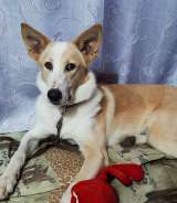 Беллу бросили на парковке