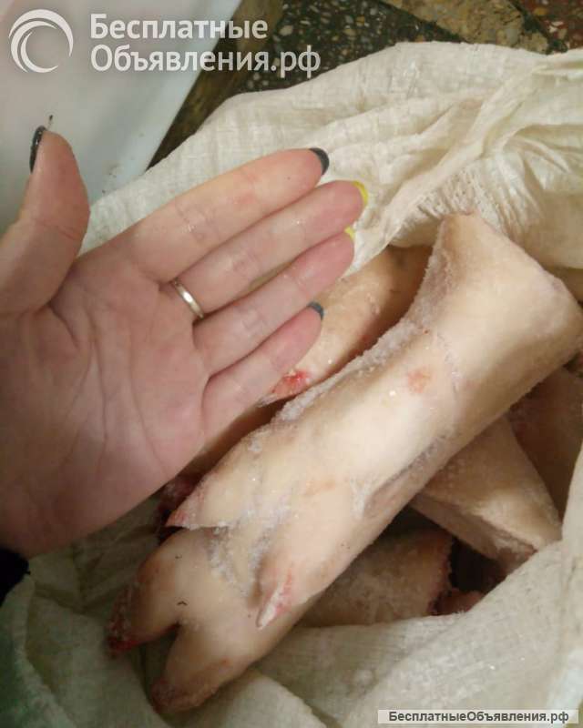 Ноги свиные. Свиная разделка.