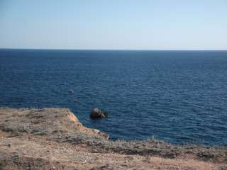 Попутчики к морю