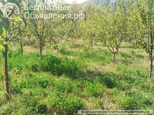 Участок 5 ГА, Иссык-Куль, Южный Берег, с. Кызыл-Туу, б/п