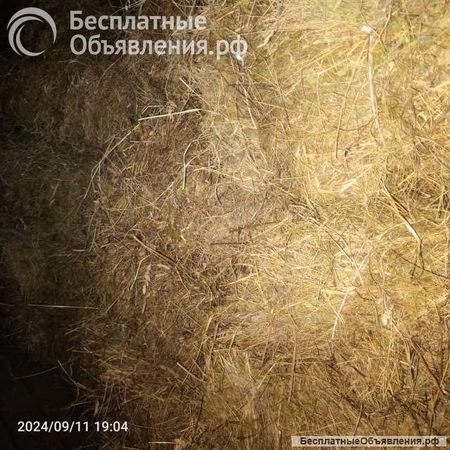 Сено в тюках