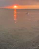 Квартира студия 20кв м. Саки