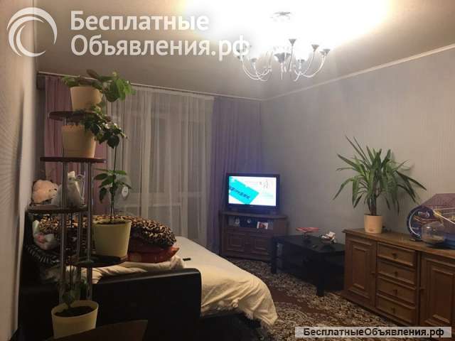 Сдам однокомнатную квартиру г. Москва (Марьино)