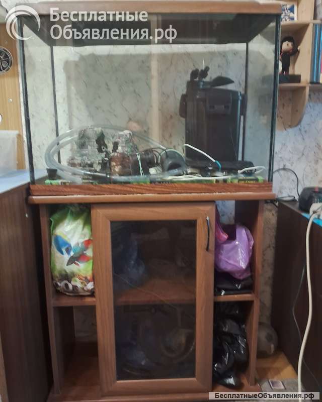 Аквариум и комплектующие