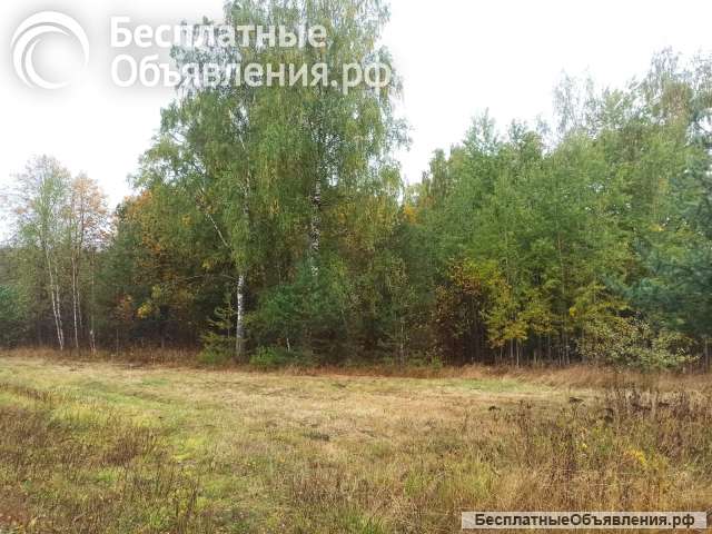 Участок 15 соток в д. Крутец, 110 км от МКАД