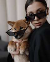 Сиба ину щенки