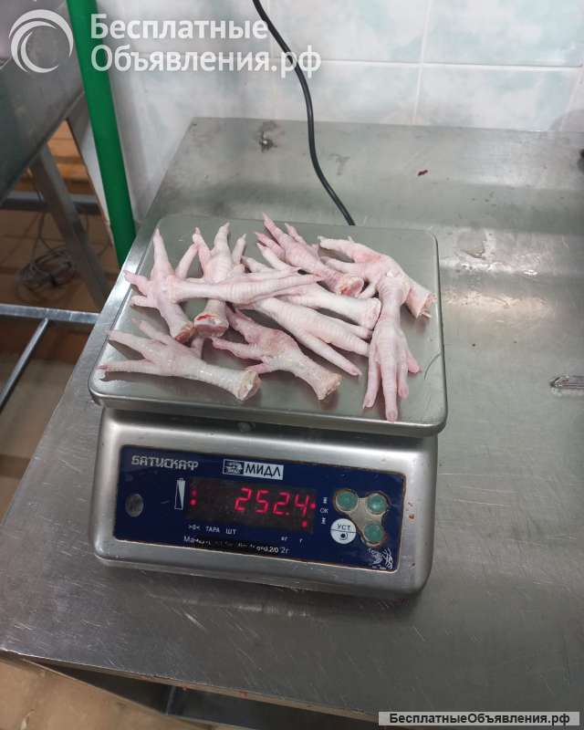 Куриные лапы на экспорт в Китай