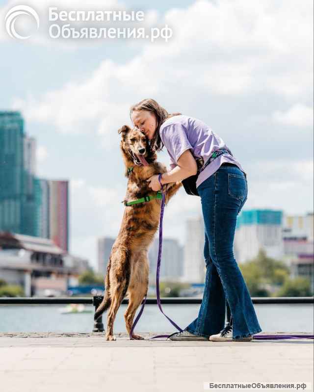 Бриллиант Крашик