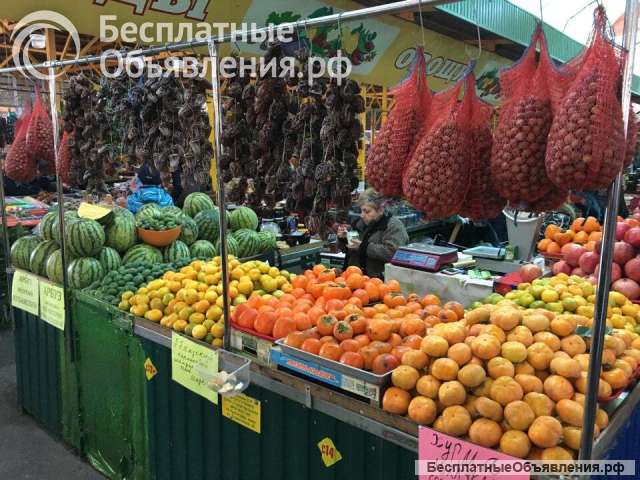 Номер в центре Адлера