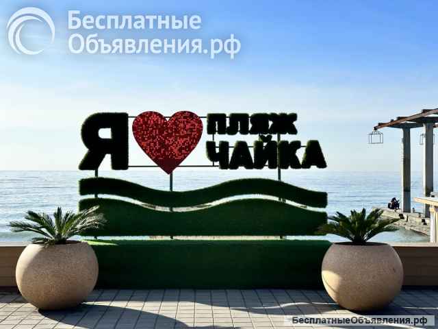 Номер в центре Адлера