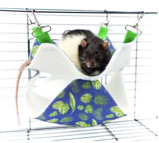 Гамак подвесной из фетра Bambini Pets "Двухуровневый" для грызунов и хорьков 23*23*6 см