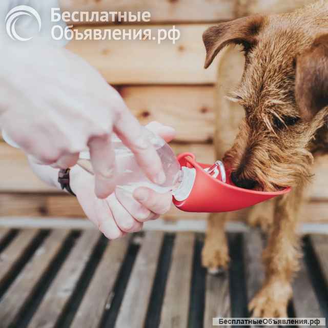Hunter бутылка для воды List 550 мл, красная