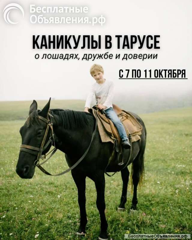 Выезд «Каникулы в Тарусе»