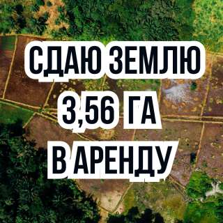 Сдаю землю 3,56 ГА в аренду, Маевка, трасса Объездная, б/п