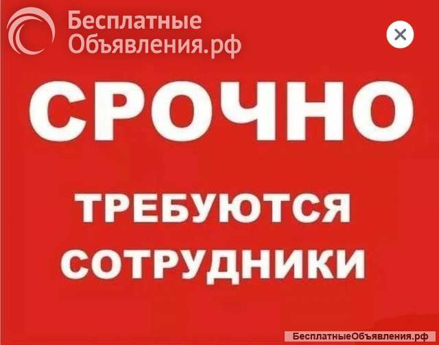 Требуются представители