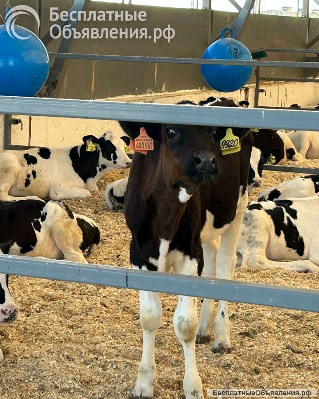 Слесарь по ремонту оборудования