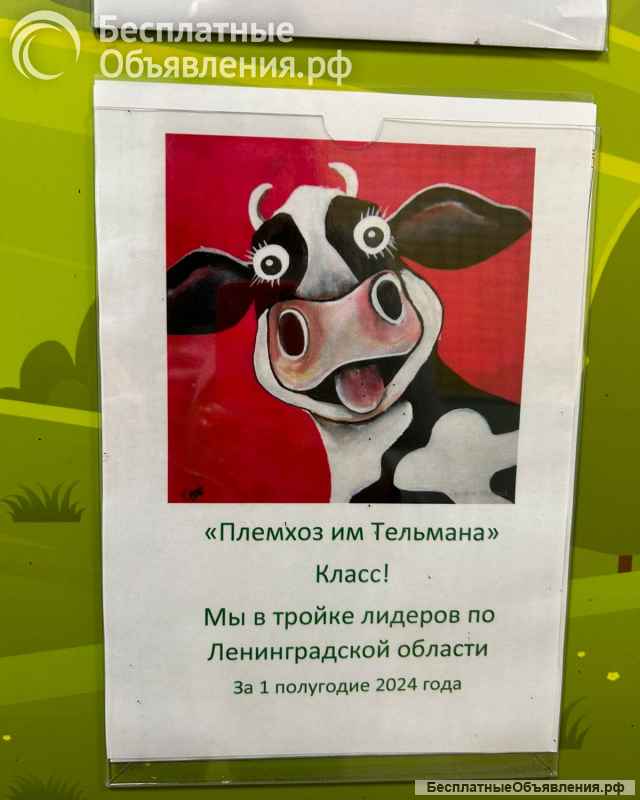 Слесарь по ремонту оборудования