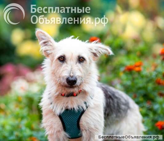 Герду нашли на заброшенном пустыре