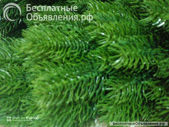Ель искусственная литая премиум качества. 175 см. Россия.