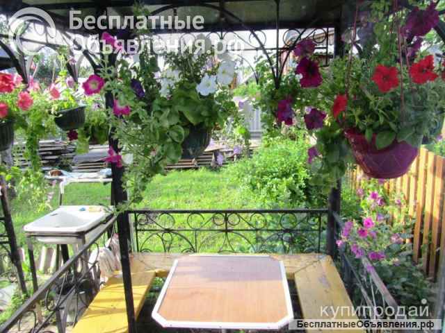 Дача на СНТ "Энтузиаст"