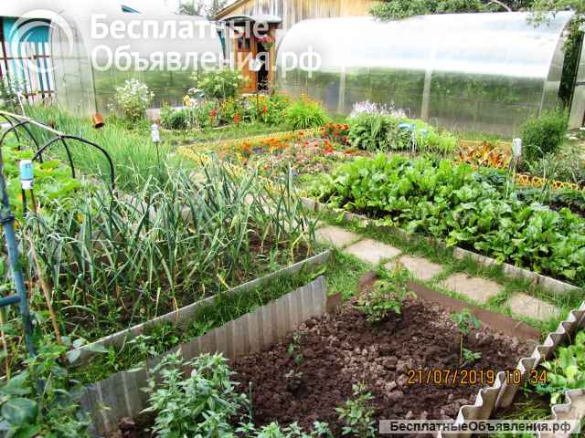 Дача на СНТ "Энтузиаст"