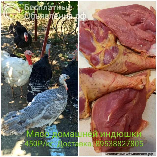 Мясо домашней индюшки