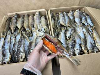 Астраханскую вяленую воблу