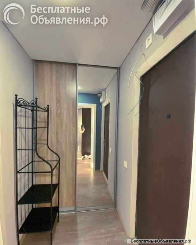 Сдается 1к.кв. пр. Чекистов 10/12п. 33 м. ремонт