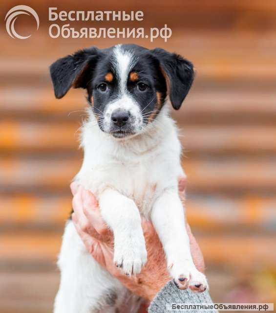 Джуди и Ронни остались без семьи