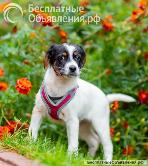 Джуди и Ронни остались без семьи
