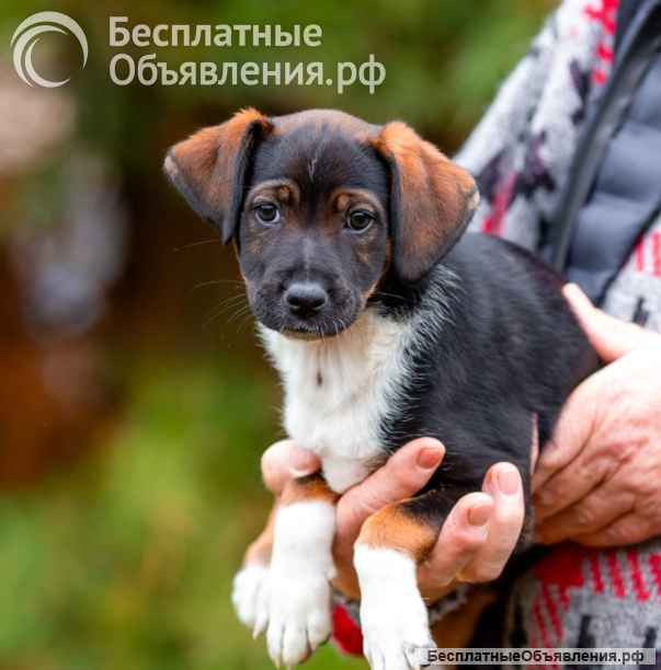 Джуди и Ронни остались без семьи