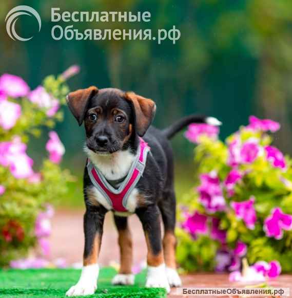 Джуди и Ронни остались без семьи