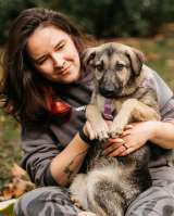 Щенок Виня из приюта ищет дом