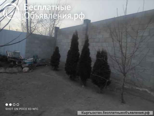 Дом 5 комнат, на Иссык-Куле, Долинка, б/п