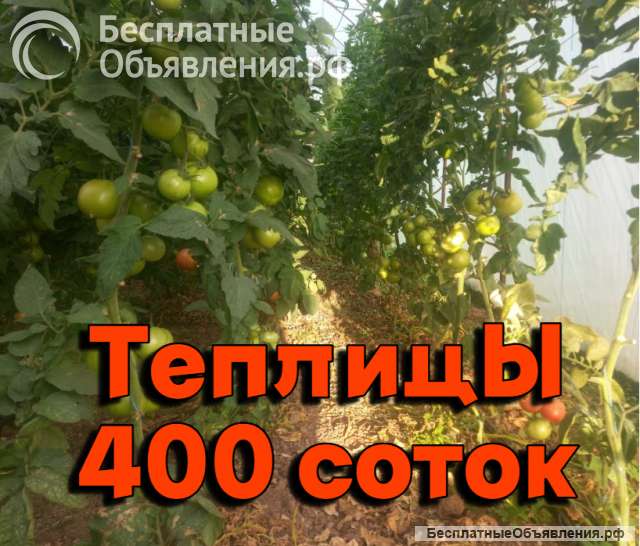 Садовый и тепличный бизнес