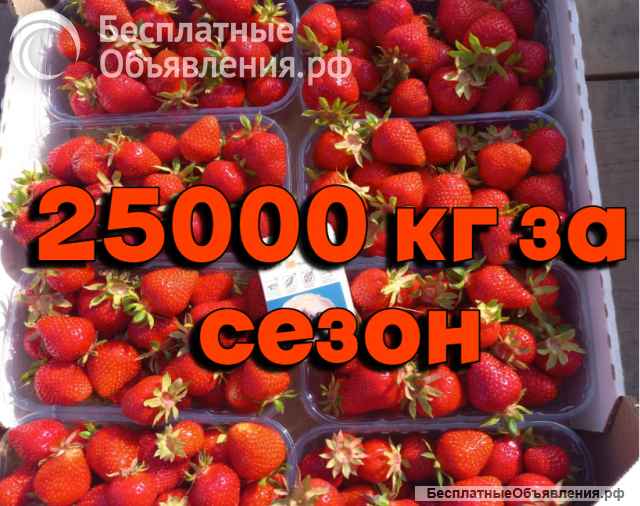 Садовый и тепличный бизнес