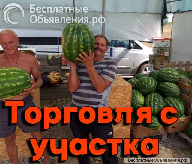 Садовый и тепличный бизнес