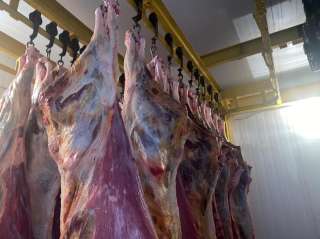 Говядина полутуши оптом от производителя