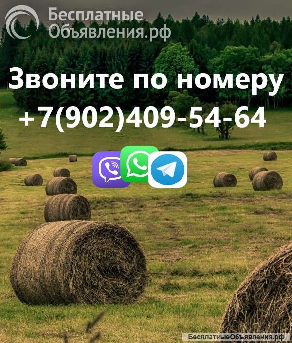 Сдам дом в аренду на д/с в Хомутово
