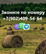 Сдам дом в аренду на д/с в Хомутово