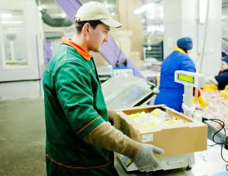 Грузчик на производство