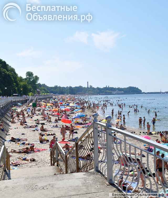 Участок 6 соток у моря в Пионерском