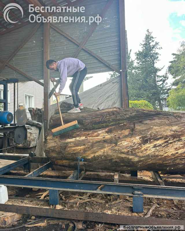 Каштан пиломатериалы по размерам заказчика