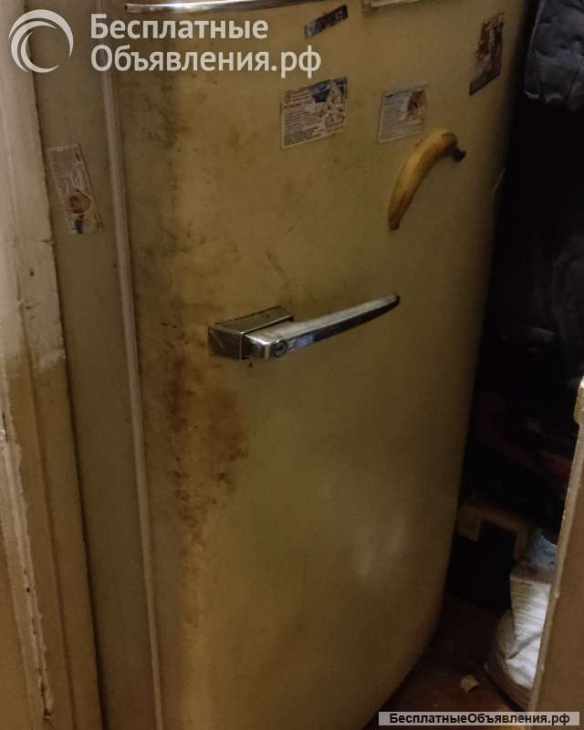 Холодильник ЗИЛ Москва КХ-240